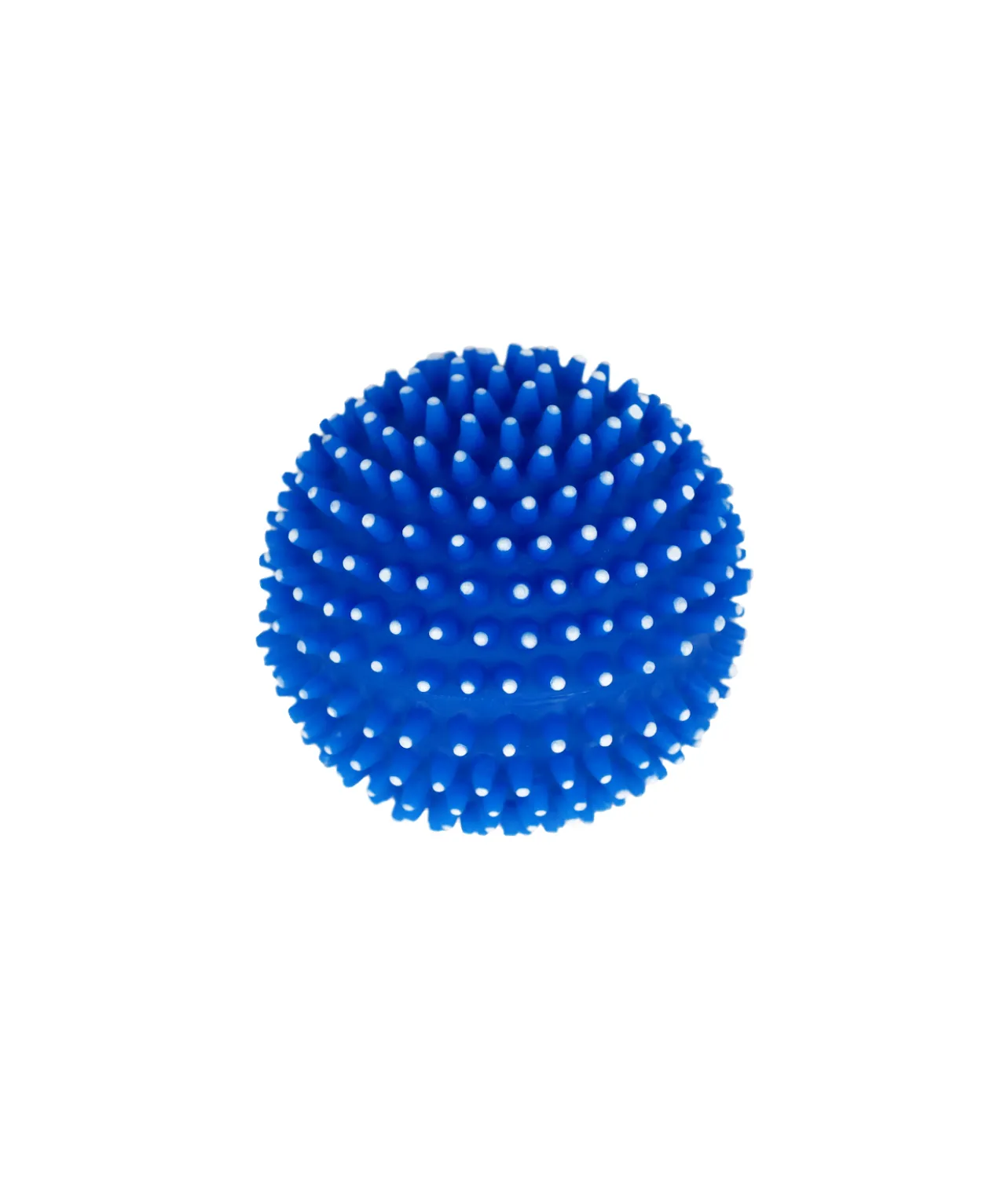 Squeaky & Spiky Dog Toy Assorted 8cm