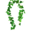 Sweet Potato Vine 200cm