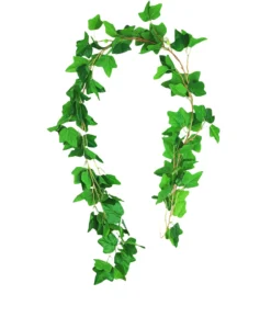 Sweet Potato Vine 200cm