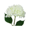 2 tone White & Green Hydrangea 63cm