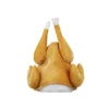Turkey Party Hat