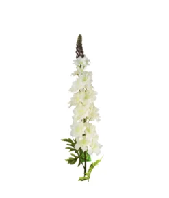 White Delphinium Flower 31 Stems 105cm
