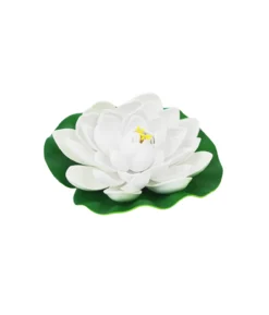 White Floating Water Lily 18cm