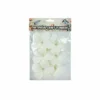 White Frangipani 8cm 6pc