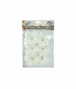 White Frangipani 6cm 6pc