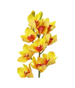 Yellow Orchid With Pink Stamen 71cm
